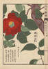 Crimson Japanese Mountain Camellia  Yama Tsubakià Poster Print By ® Florilegius / Mary Evans - Item # VARMEL10938588