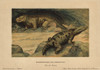 Mastodonsaurus  Extinct Giant Amphibian  Andà Poster Print By ® Florilegius / Mary Evans - Item # VARMEL10937769