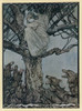 Lady Treed By Wolves Poster Print By Mary Evans Picture Library/Arthur Rackham - Item # VARMEL10140362