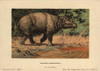 Dinoceras  Uintatherium Anceps  Extinct Herbivorousà Poster Print By ® Florilegius / Mary Evans - Item # VARMEL10937745
