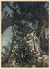 Midsummer Night'S Dream Poster Print By Mary Evans Picture Library/Arthur Rackham - Item # VARMEL10114641