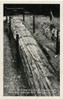 The Pines - Petrified Forest - Santa Rosa  California Poster Print By Mary Evans / Grenville Collins Postcard Collection - Item # VARMEL11065847