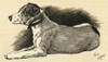 Illustration By Cecil Aldin  A Terrier Poster Print By Mary Evans Picture Library - Item # VARMEL10980857
