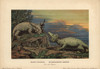 Elginia Mirabilis  Extinct Pareiasaur  Andà Poster Print By ® Florilegius / Mary Evans - Item # VARMEL10937668