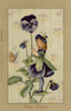 Pansy Fairy Poster Print By Mary Evans Picture Library/Peter & Dawn Cope Collection - Item # VARMEL11045512