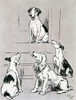 Illustration  The Dogs Of War Poster Print By Mary Evans Picture Library - Item # VARMEL10956721