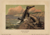Basilosaurus  Extinct Genus Ofà Poster Print By ® Florilegius / Mary Evans - Item # VARMEL10937681