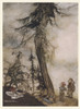 Fir Tree And Bramble Poster Print By Mary Evans Picture Library/Arthur Rackham - Item # VARMEL10132532