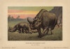 Titanotherium Latum   Extinct Genus Of Herbivorousà Poster Print By ® Florilegius / Mary Evans - Item # VARMEL10937670