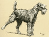 Illustration By Cecil Aldin  Kerry Blue Terrier Poster Print By Mary Evans Picture Library - Item # VARMEL10980228