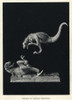 Dryptosaurus Aquilunguis Fighting Poster Print By ® Florilegius / Mary Evans - Item # VARMEL10936642