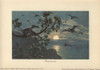 Rhamphorhynchus  Genus Of Extinct Long-Tailedà Poster Print By ® Florilegius / Mary Evans - Item # VARMEL10937746