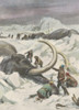 Mammoths Found Frozen Poster Print By Mary Evans Picture Library - Item # VARMEL10026734