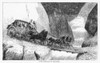 Coach In California Poster Print By Mary Evans Picture Library - Item # VARMEL10128064