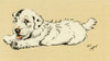 Illustration By Cecil Aldin  Puppy Lying Down Poster Print By Mary Evans Picture Library - Item # VARMEL10980230