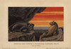 Geikia Elginensis  Extinct Synapsid  And Sclerosaurusà Poster Print By ® Florilegius / Mary Evans - Item # VARMEL10937678
