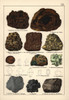 Metals Including Stalactitic Lepidocrociteà Poster Print By ® Florilegius / Mary Evans - Item # VARMEL10941158