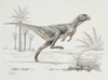 Lesothosaurus Poster Print By Mary Evans / Natural History Museum - Item # VARMEL10703977