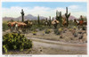 A 'Pack Outfit' In The Desert - Arizona  Usa Poster Print By Mary Evans / Grenville Collins Postcard Collection - Item # VARMEL10720142