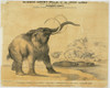 Mammoth And Hyaena Poster Print By Mary Evans / Natural History Museum - Item # VARMEL10986897