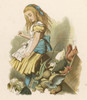 Carroll/Alice At Trial Poster Print By Mary Evans Picture Library - Item # VARMEL10013078