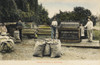 Grading Walnuts - California  Usa Poster Print By Mary Evans / Grenville Collins Postcard Collection - Item # VARMEL10406389