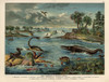 Jurassic Reptiles  Dinosaurs  Fish And Birds Poster Print By ® Florilegius / Mary Evans - Item # VARMEL10941180