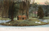 Swan Island  Grant Park  Atlanta  Georgia  Usa Poster Print By Mary Evans / Pharcide - Item # VARMEL10977732