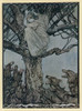 Becfola Climbs A Tree To Escape A Pack Of Wolves Poster Print By Mary Evans Picture Library/Arthur Rackham - Item # VARMEL10006269