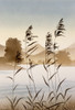 Mountain Valley Lake With Reeds Poster Print By Malcolm Greensmith ® Adrian Bradbury/Mary Evans - Item # VARMEL10267390