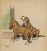 Twin Puppies Explore Poster Print By Mary Evans Picture Library - Item # VARMEL10000387