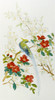 Bird Of Paradise Among Exotic Blooms Poster Print By Malcolm Greensmith ® Adrian Bradbury/Mary Evans - Item # VARMEL10271291
