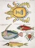 Colourful Illustration Of Three Fish And Two Crabs Poster Print By Mary Evans / Natural History Museum - Item # VARMEL10708299