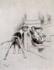 Illustration  The Dogs Of War Poster Print By Mary Evans Picture Library - Item # VARMEL10956713