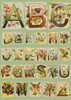 Illustrated Alphabet A-Z Poster Print By ® Mary Evans Picture Library - Item # VARMEL11094593