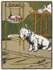 Towser The Dog Eats Cake Poster Print By Mary Evans Picture Library - Item # VARMEL10225441