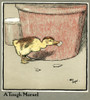 Master Quack The Duckling Finds A Tough Morsel Poster Print By Mary Evans Picture Library - Item # VARMEL10644920
