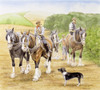 Farmers Walk And Lead A Team Of Working Horses Poster Print By Malcolm Greensmith ® Adrian Bradbury/Mary Evans - Item # VARMEL10271141 Farmers Walk And Lead A Team Of Working Horses Poster Print By Malcolm Greensmith ® Adrian Bradbury/Mary Evans - Item # VARMEL10271141