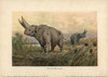 Arsinoitherium  An Extinct Genus Of Paenungulateà Poster Print By ® Florilegius / Mary Evans - Item # VARMEL10937705