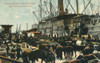 Shipping Horses  San Francisco  California  Usa Poster Print By Mary Evans / Pharcide - Item # VARMEL10812082