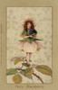 Blackberry Fairy Poster Print By Mary Evans Picture Library/Peter & Dawn Cope Collection - Item # VARMEL11045513