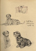 Sketches By Cecil Aldin  Just Among Friends Poster Print By Mary Evans Picture Library - Item # VARMEL10981075