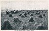 Farming Scene In Western Canada Poster Print By Mary Evans / Grenville Collins Postcard Collection - Item # VARMEL10948755