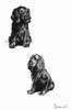 Sketches Of Spaniels By Cecil Aldin Poster Print By Mary Evans Picture Library - Item # VARMEL10957456