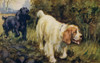 Cocker And Clumber Spaniels Poster Print By Mary Evans Picture Library/Peter & Dawn Cope Collection - Item # VARMEL10543045