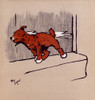 Illustration By Cecil Aldin  The Red Puppy Book Poster Print By Mary Evans Picture Library - Item # VARMEL10981162