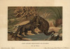 Megalosaurus  Extinct Carnivorous Theropodà Poster Print By ® Florilegius / Mary Evans - Item # VARMEL10937755