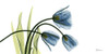 The Three Tulips Poster Print by Albert Koetsier - Item # VARPDXAK5RN001A