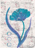 Zinnia Turquoise 2 Poster Print by Beverly Dyer # BDRC153B
