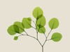 Natural Greenery 2 Poster Print by Albert Koetsier - Item # VARPDXAK8RC076B